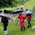 Irumagarrieta (505)